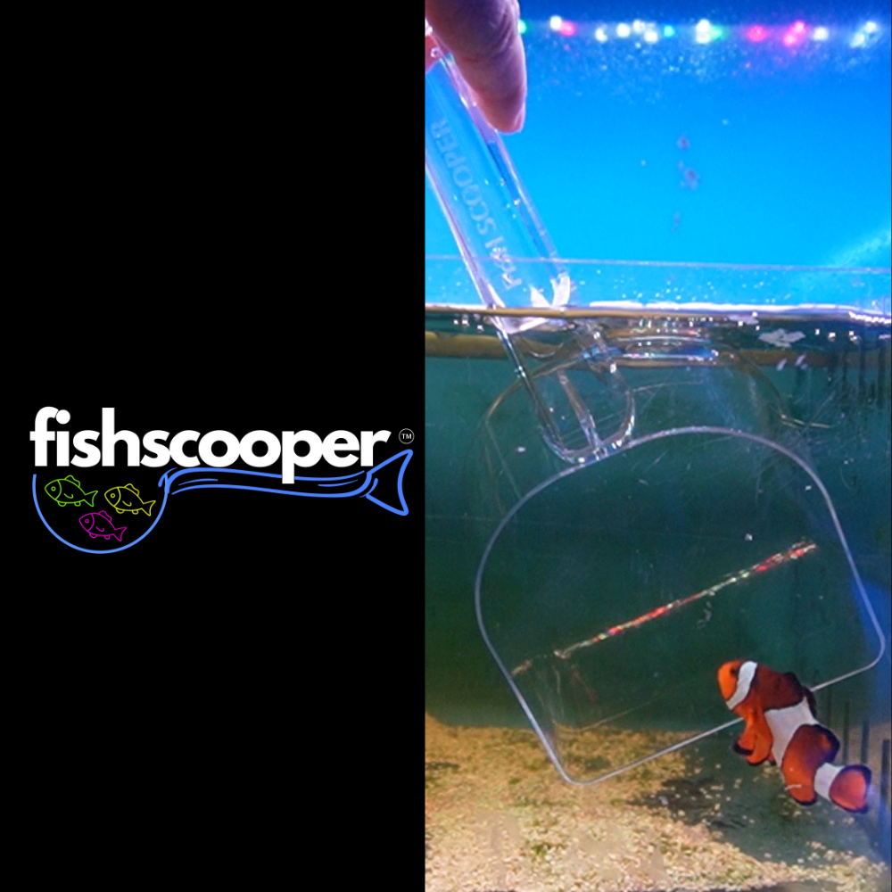The Ultimate Fish Scooper – Safe, Stress-Free Handling for Your Fish!