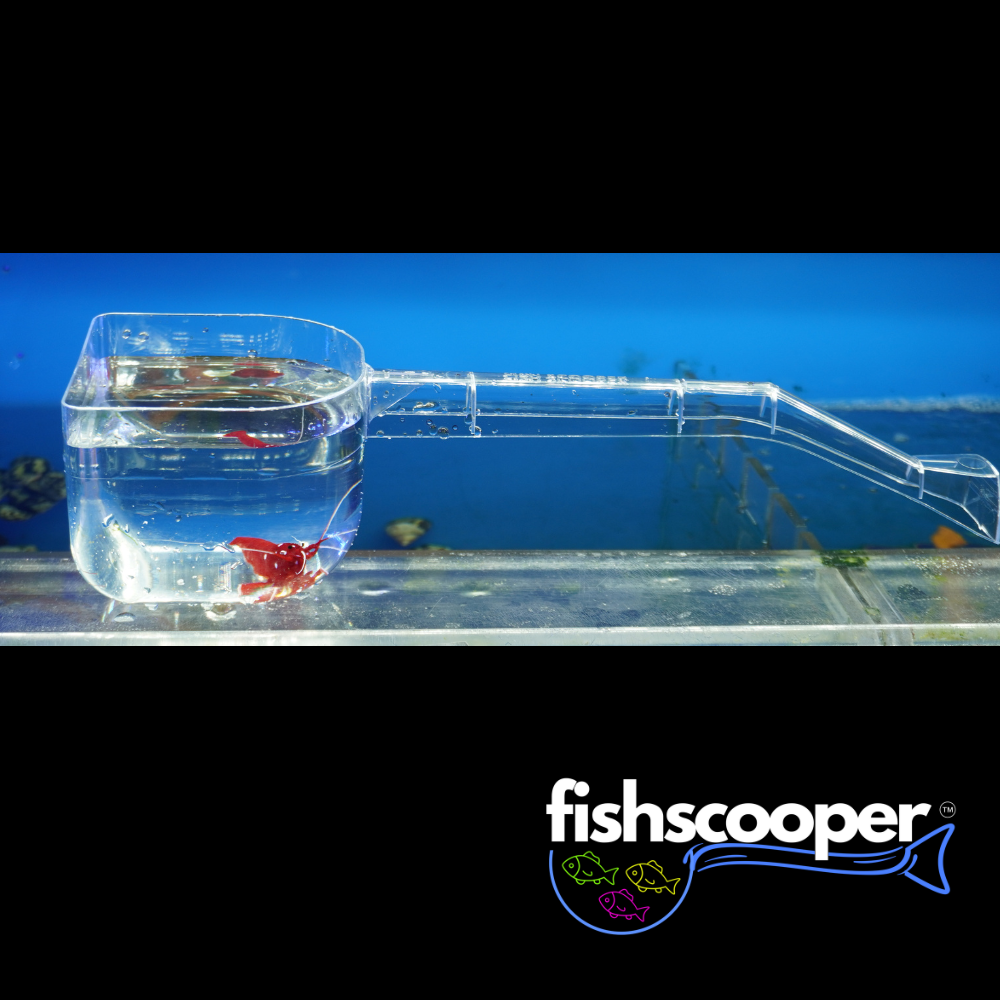 The Ultimate Fish Scooper – Safe, Stress-Free Handling for Your Fish!