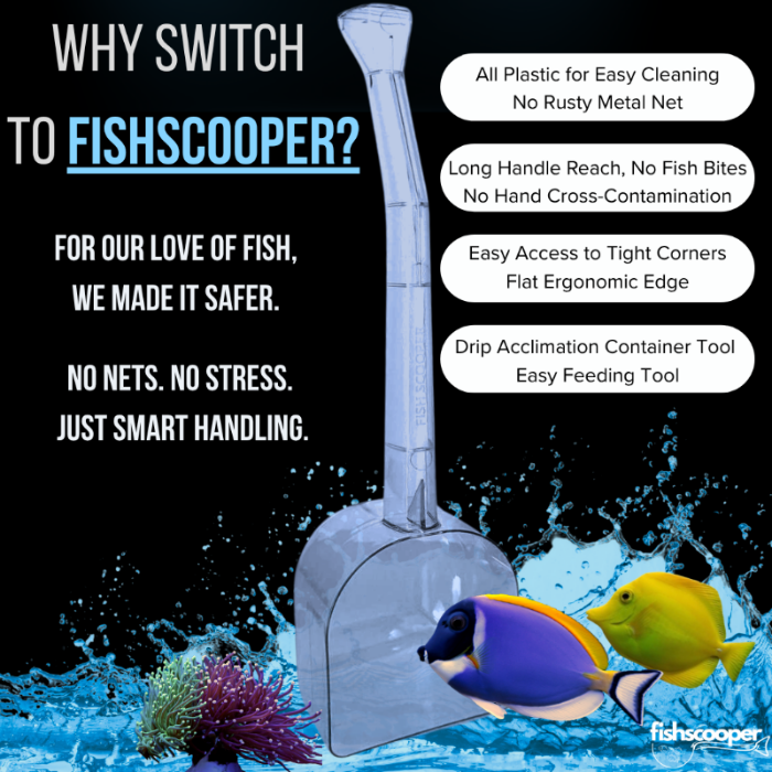Fish Scooper, Aquarium Net, Fish Trap, Floating Fish Net, Axolotl Tank Accessories, Aquarium Cleaning Tools, Photography, Tool, Aquarium Accessories, Breeder Box