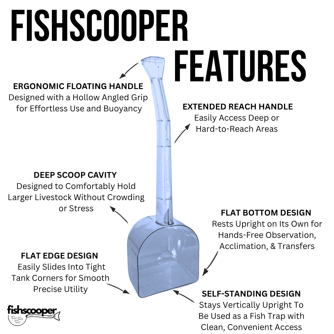 Fish Scooper, Aquarium Net, Fish Trap, Floating Fish Net, Axolotl Tank Accessories, Aquarium Cleaning Tools, Photography, Tool, Aquarium Accessories, Breeder Box