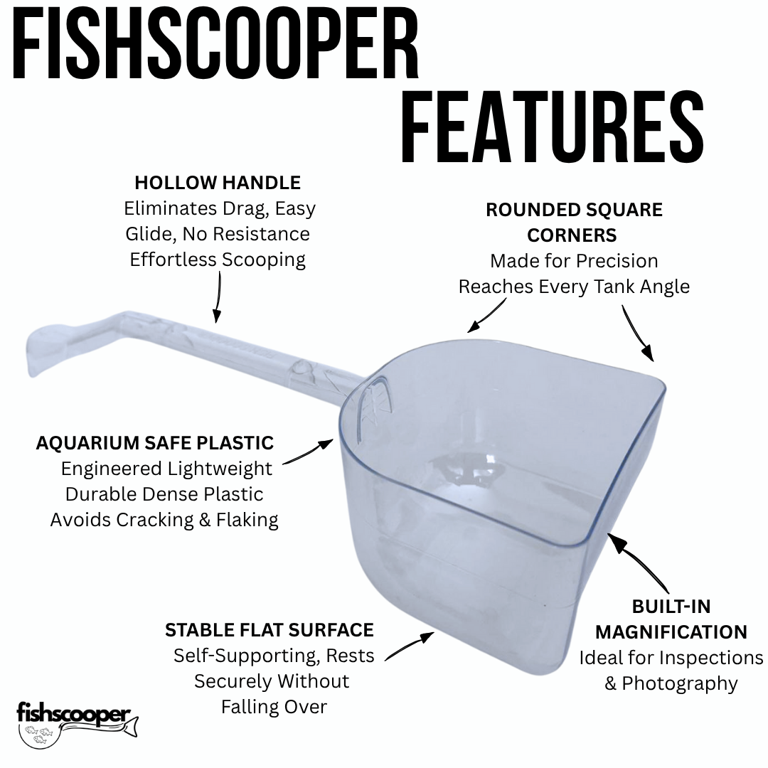 Fish Scooper, Aquarium Net, Fish Trap, Floating Fish Net, Axolotl Tank Accessories, Aquarium Cleaning Tools, Photography, Tool, Aquarium Accessories, Breeder Box