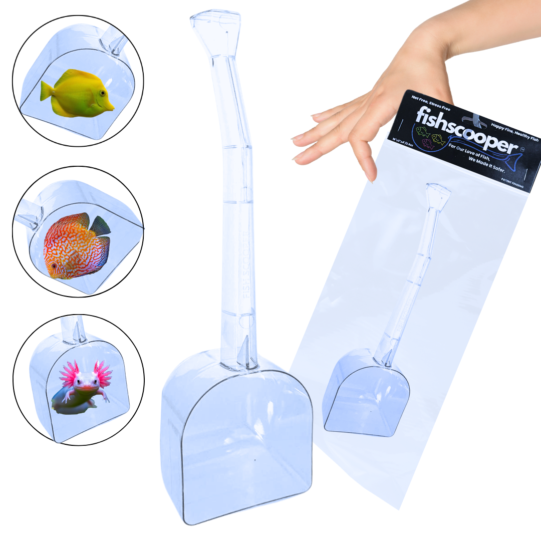 Fish Scooper, Aquarium Net, Fish Trap, Floating Fish Net, Axolotl Tank Accessories, Aquarium Cleaning Tools, Photography, Tool, Aquarium Accessories, Breeder Box